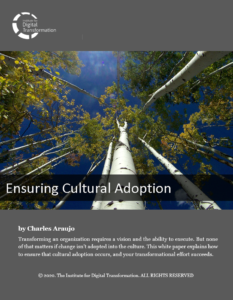 Ensuring Cultural Adoption