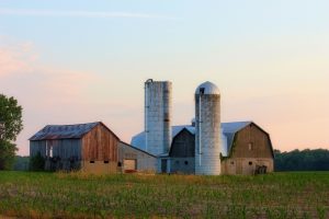 From Pre-industrial to a Digital Enterprise: The Digital Transformation of the Family Farm