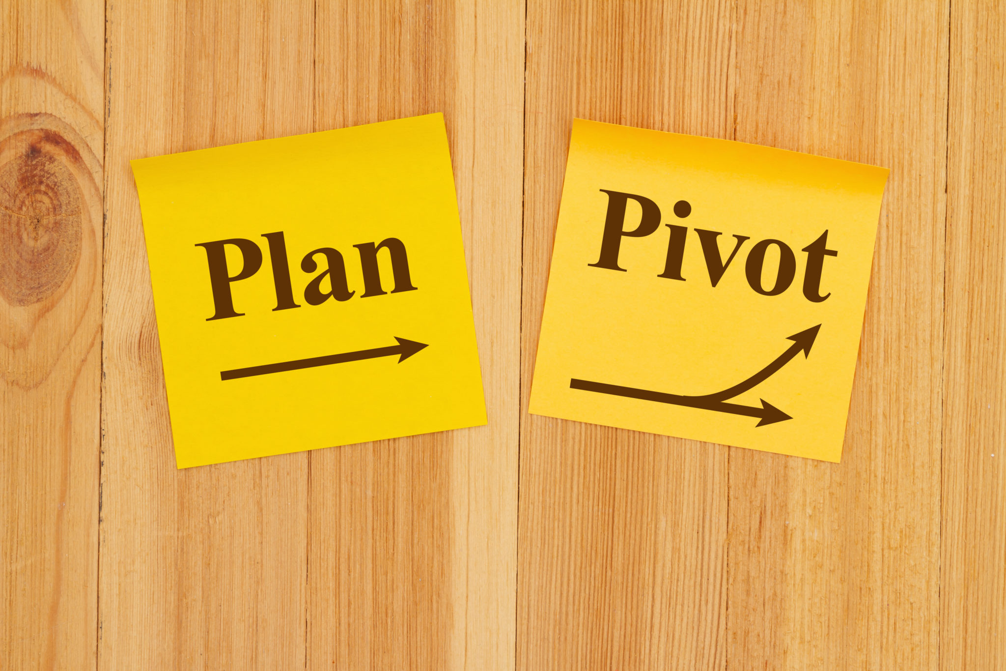 Can Enterprises Really Pivot?