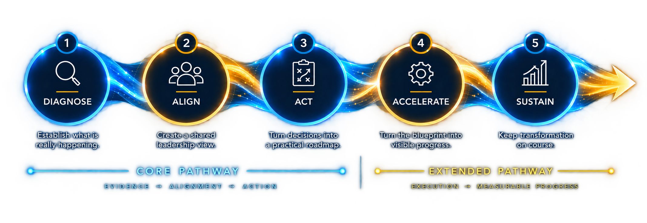 Trans Accelerator Pathway Steps Graphic